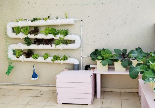 Hydroponic Growing Methods: A Comprehensive Guide