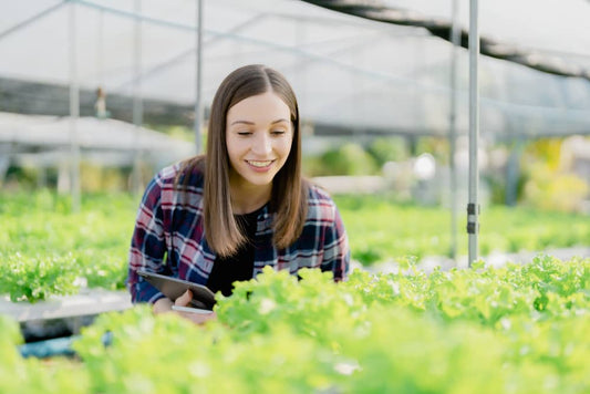 How Urban Farming & Hydroponics Are Saving the Planet—And Your Health