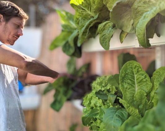 Essential Hydroponic Equipment for Beginners: Your Complete Guide to a Thriving Indoor Garden