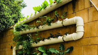 Hydroponic Garden Basics