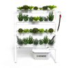 Homie 28 – Home Hydroponic Growing System