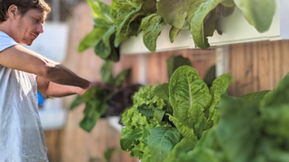 Getting Started with Hydroponic System