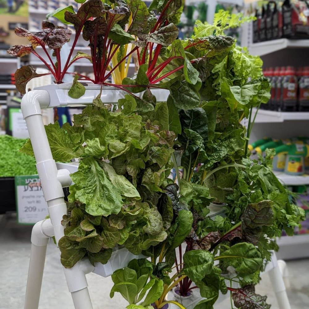 Homie 28 – Home Hydroponic Growing System