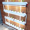 Wally 32 – Hydroponic Vertical System for Growing 32 Greens and Fruits