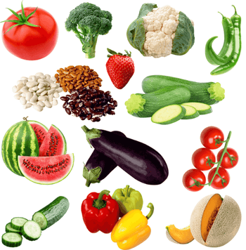 NatureTech Hydroponics grow vegetables and fruits