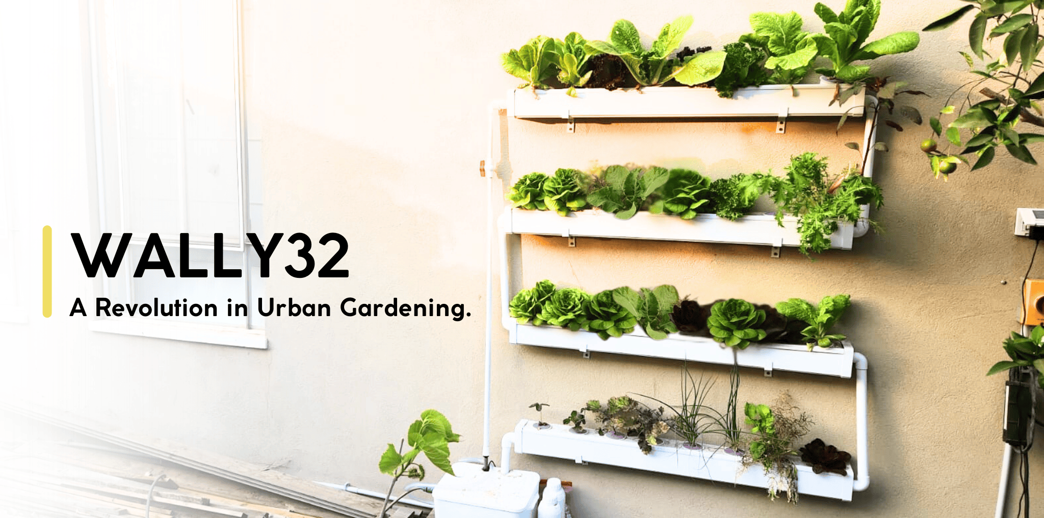 WALLY32 Hydroponics - Hydroponic Vertical System for Growing 32 Greens and Fruits