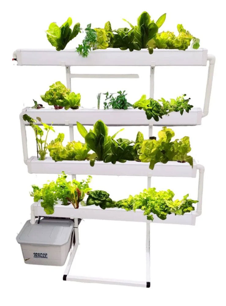 Wally32 Hydroponic system