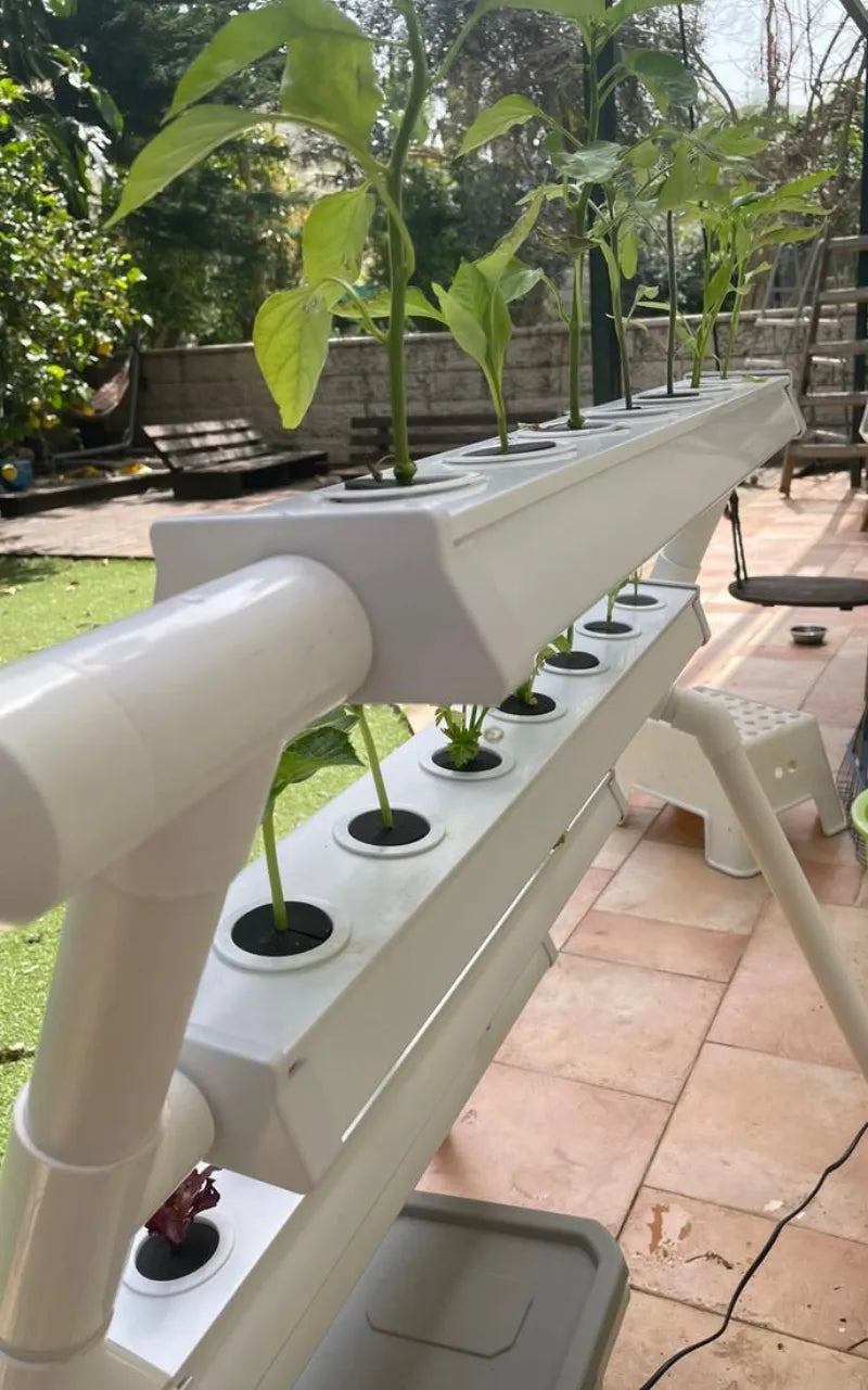 A NatureTech customer's plants growing at home