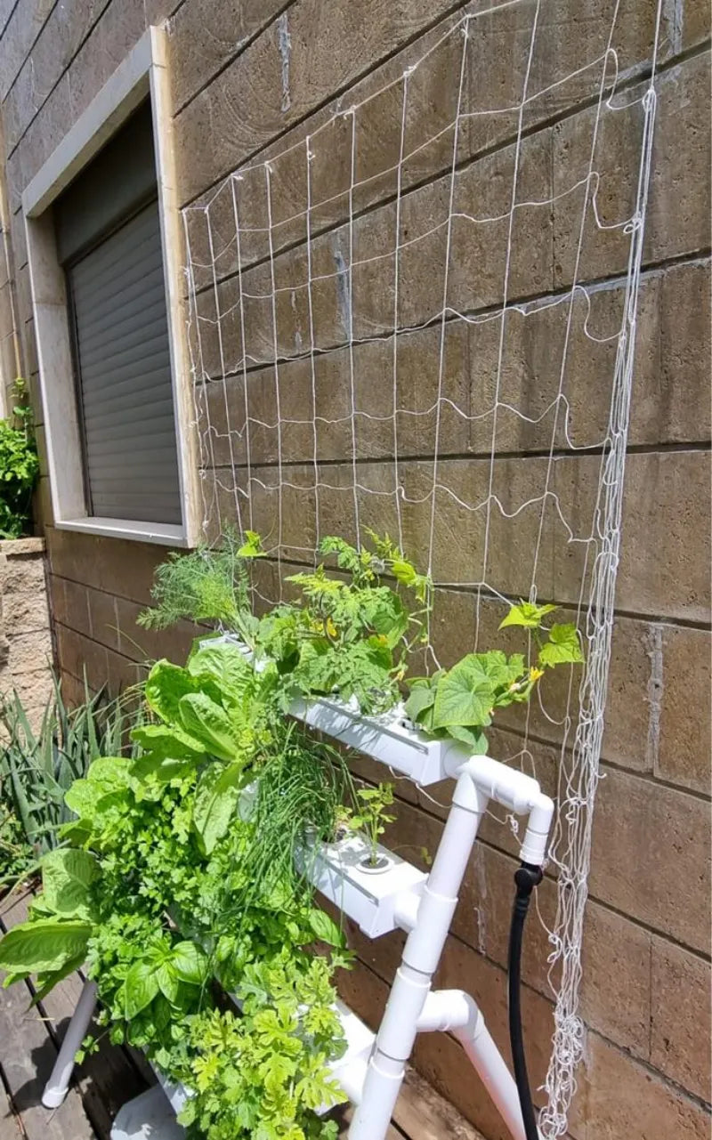 A NatureTech customer's plants growing at home