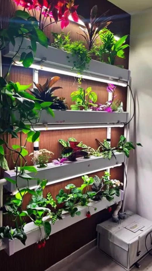 A Wally wall full of vibrant houseplants and tropical foliage growing under grow lights.