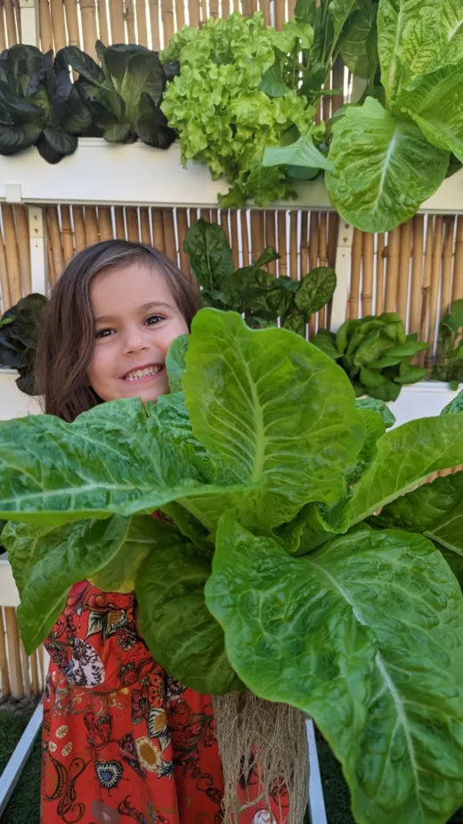 A smiling child peeking out from behind a giant head of romaine lettuce harvested from a Wally wall.