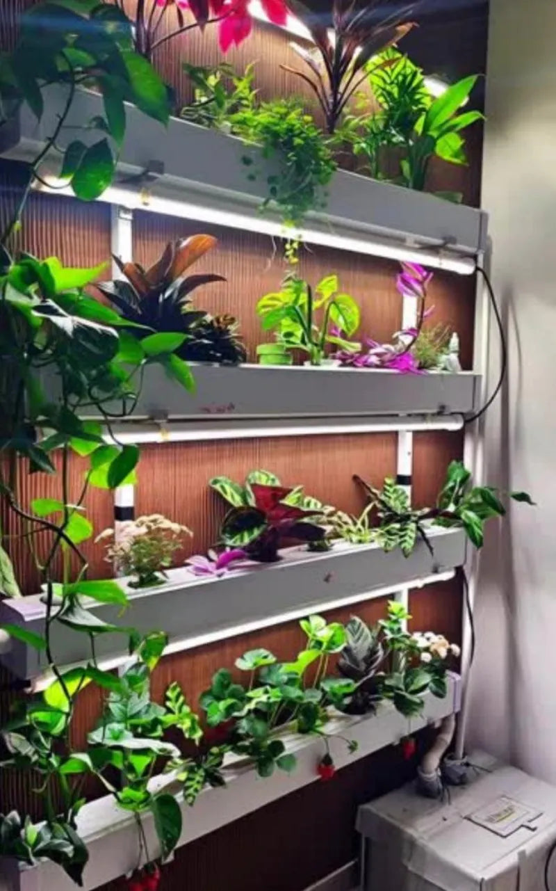 A NatureTech customer's plants growing at home
