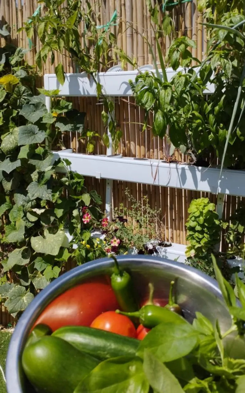 A NatureTech customer's plants growing at home