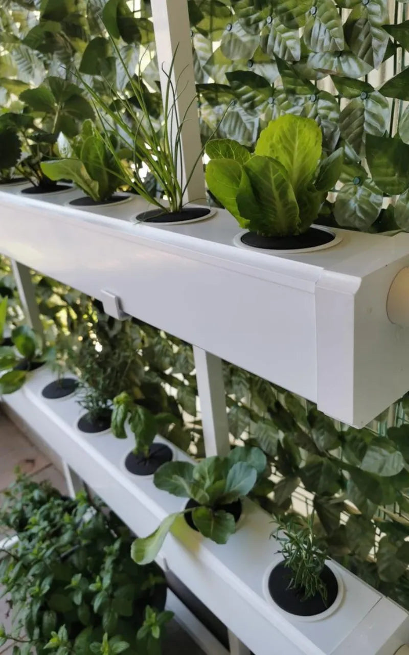 A NatureTech customer's plants growing at home