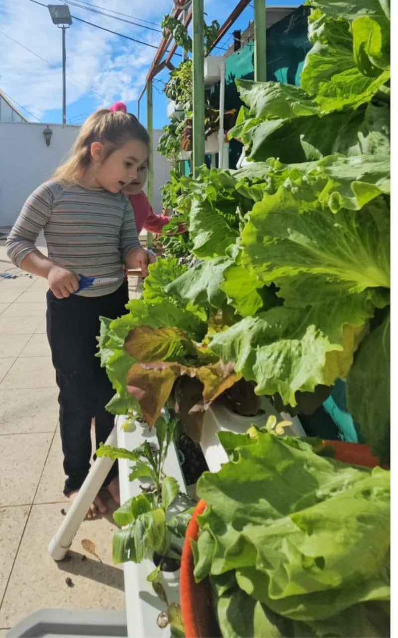 A NatureTech customer's plants growing at home
