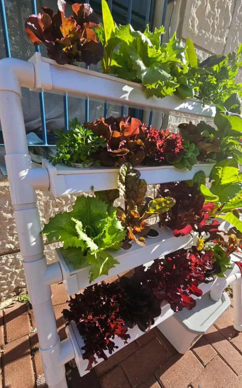 A NatureTech customer's plants growing at home