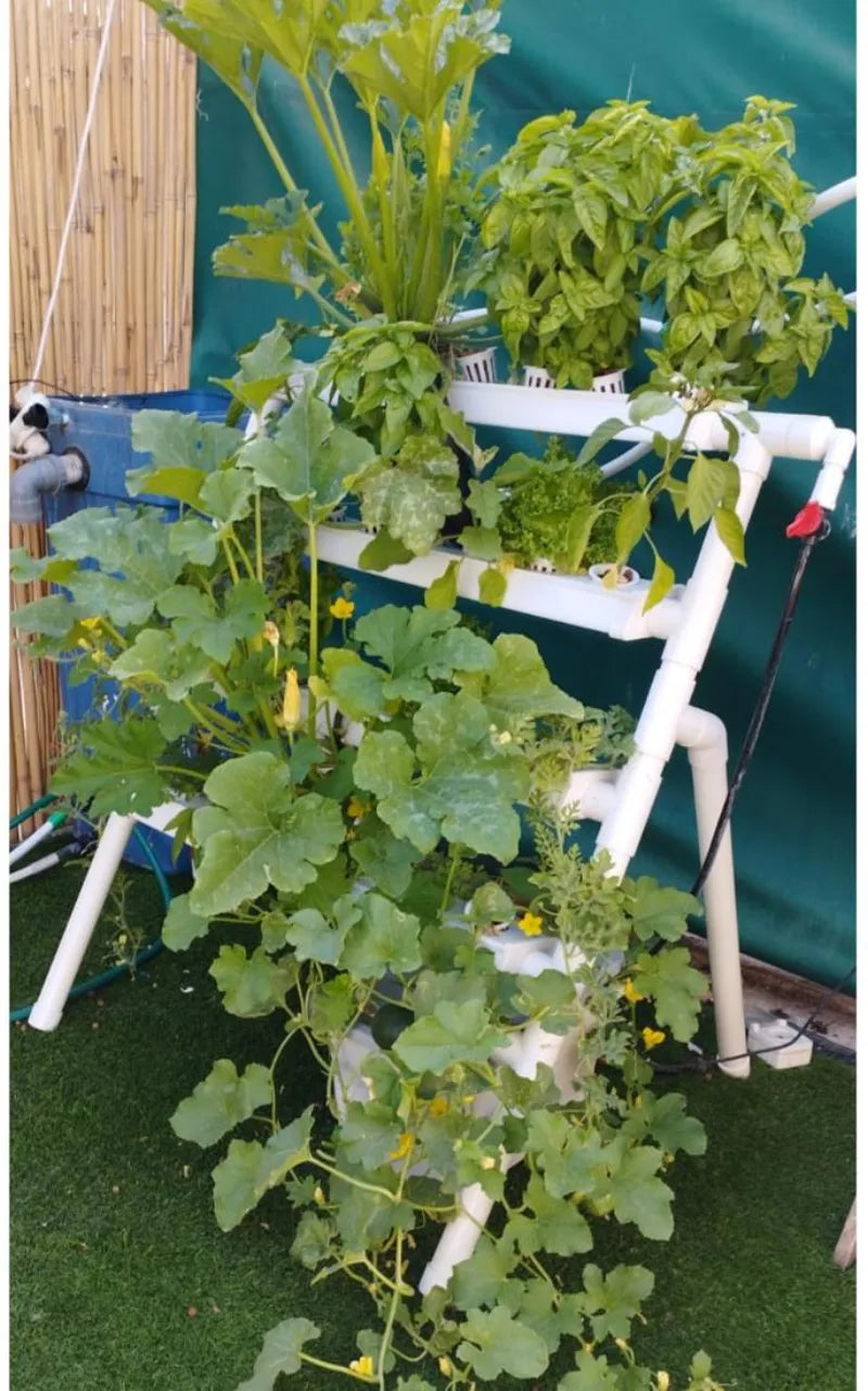 A NatureTech customer's plants growing at home