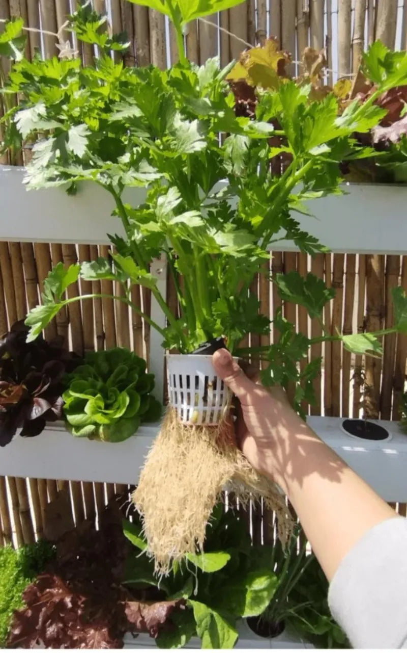 A NatureTech customer's plants growing at home
