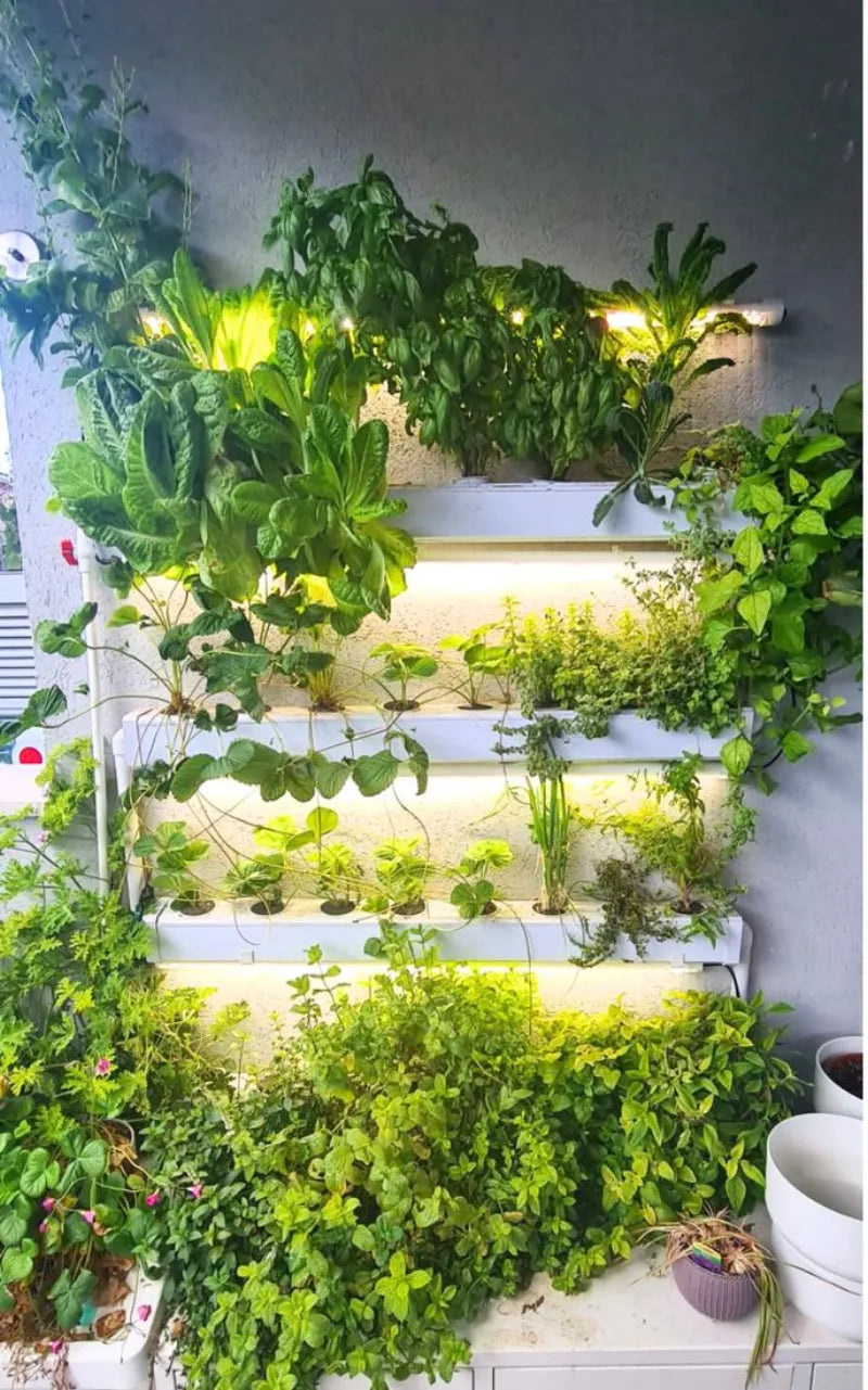 A NatureTech customer's plants growing at home
