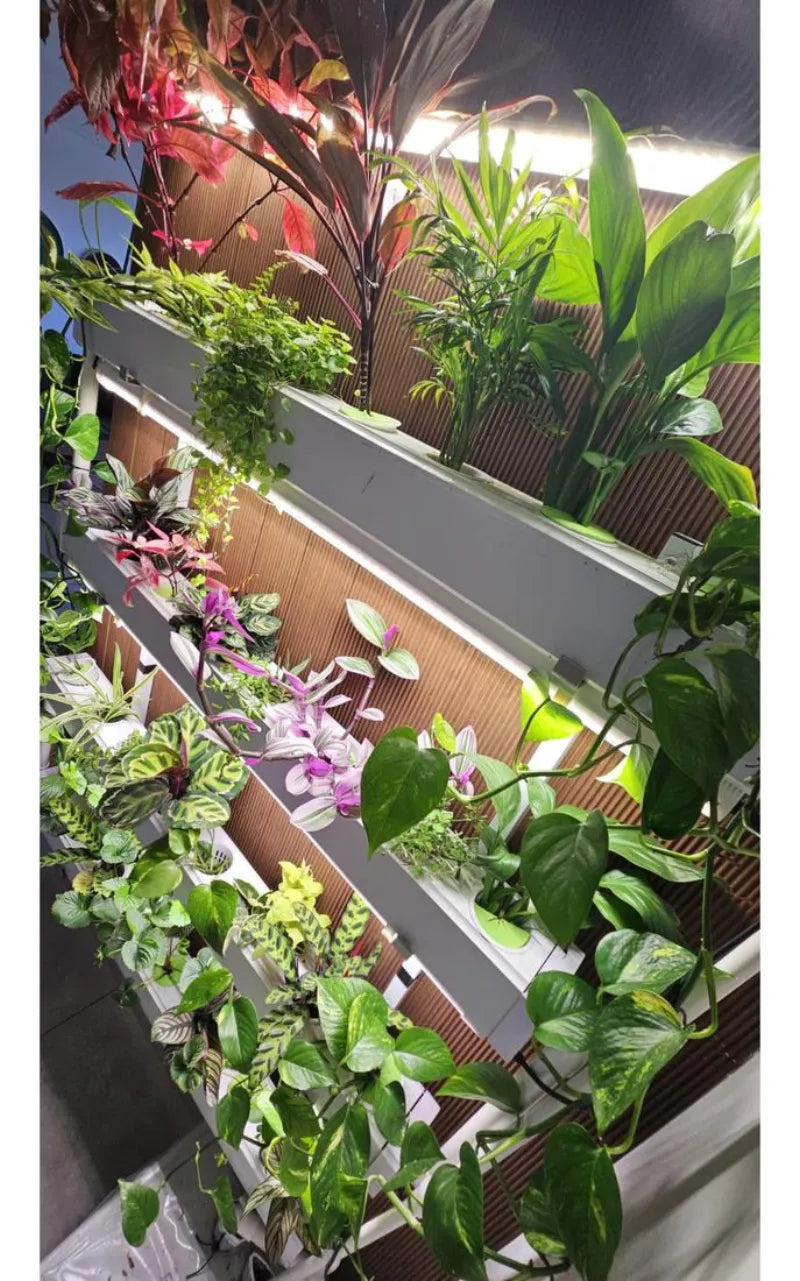 A NatureTech customer's plants growing at home