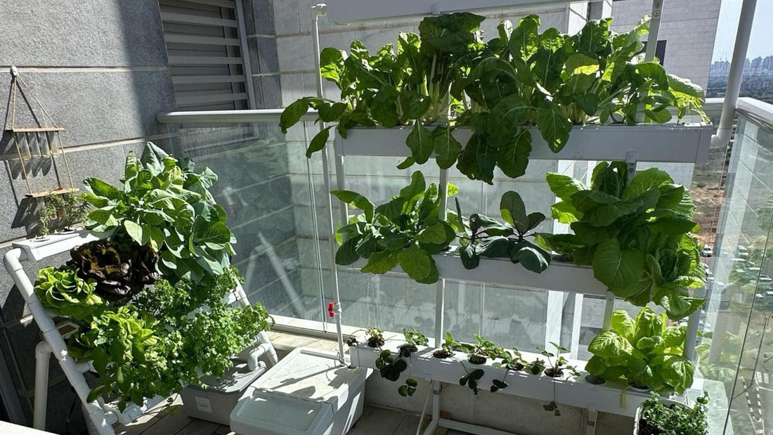 How to Set Up Your Hydroponic System: A Step-by-Step Guide