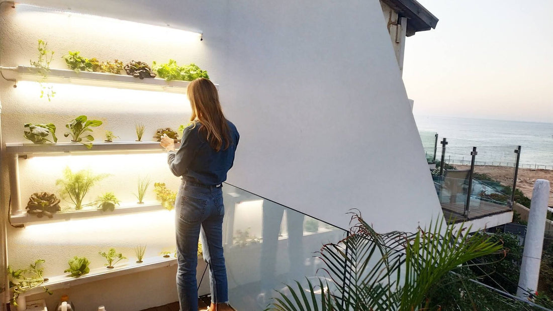 Discover the NatureTech Edge: What Sets Our Hydroponic Systems Apart