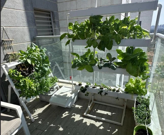 Do Homegrown Hydroponic Vegetables Taste Better Than Store-Bought Produce?