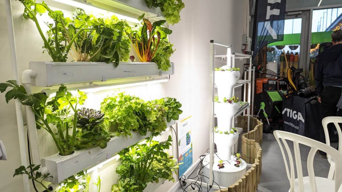 Different Home Hydroponic Systems Explained: What Is Right for Me?