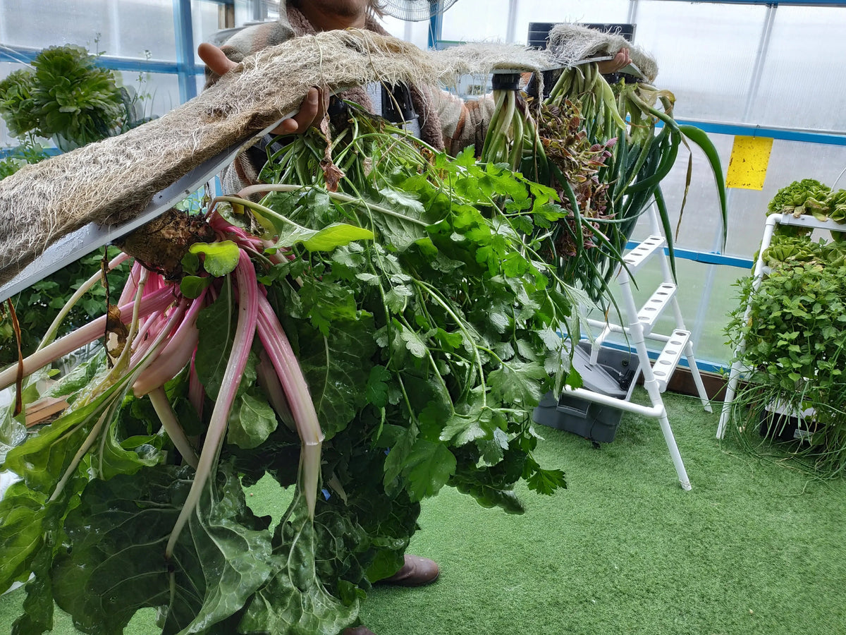 Naturetech Grow Fresh Fruits and Vegetables Year-Round with NatureTech Hydroponic ...