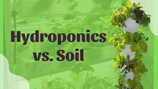 Hydroponics vs. Soil