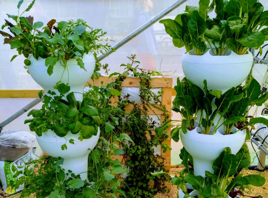 What is Hydroponic Growing?