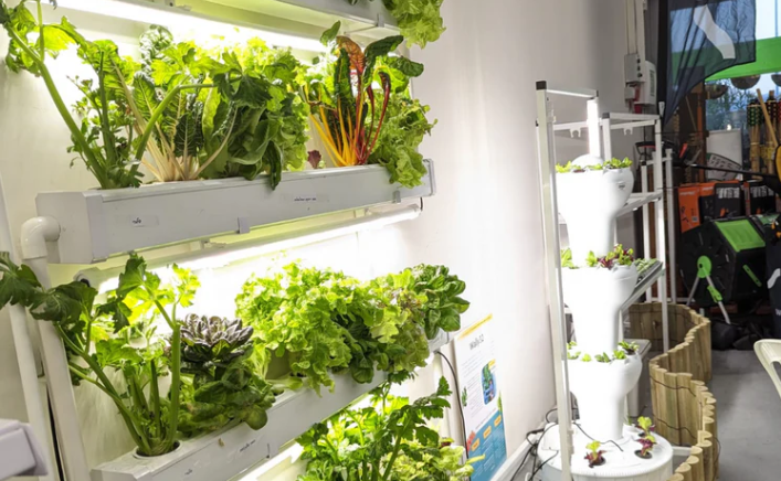 Is Hydroponic Gardening an Innovation or a Manipulation of Nature?