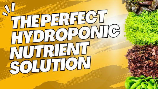 The 4 Keys to a Perfect Hydroponic Nutrient Solution