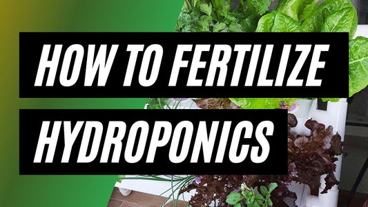 How to Fertilize Hydroponic Plants