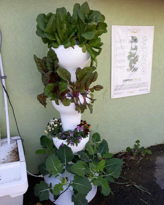 How Much Food Can a Hydroponics System Produce?