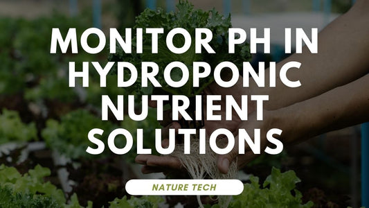 How to Monitor PH in Hydroponic Nutrient Solutions