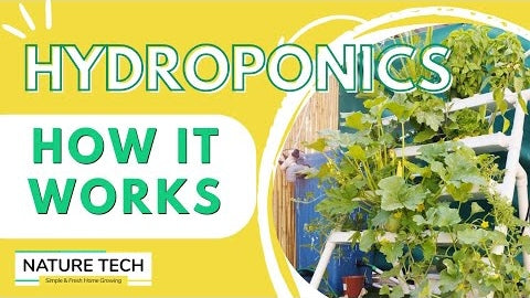 Nature Tech Hydroponics - How It Works