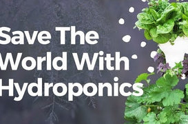 8 Ways Hydroponics Help You Save The World - Nature Tech's Home Gardening Kits