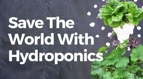 8 Ways Hydroponics Help You Save The World - Nature Tech's Home Gardening Kits