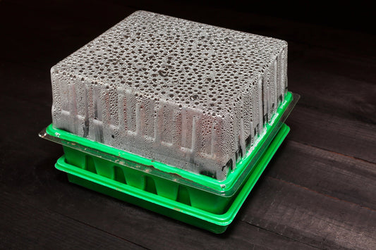 Preparing Seedlings for Your Hydroponic System: A Step-by-Step Guide