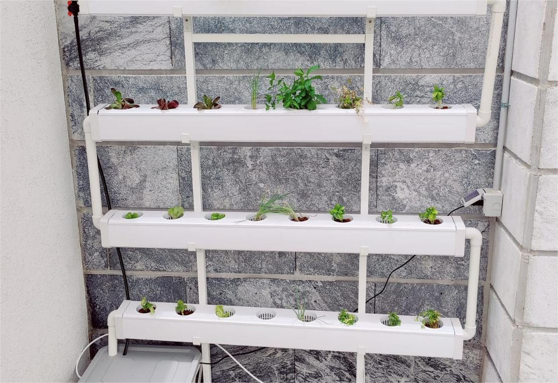 How to Grow Fresh, Organic Microgreens in Hydroponic Systems