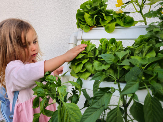 3 Rules of Thumb for Choosing the Best Hydroponic System for You