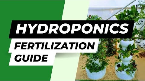 Master EC Balancing in Hydroponics: Achieve Perfect Plant Nutrition