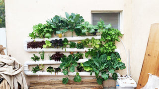 Indoor Hydroponic Garden