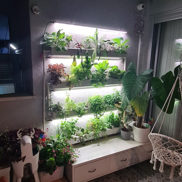 Wally 32 – Hydroponic Vertical System for Growing 32 Greens and Fruits