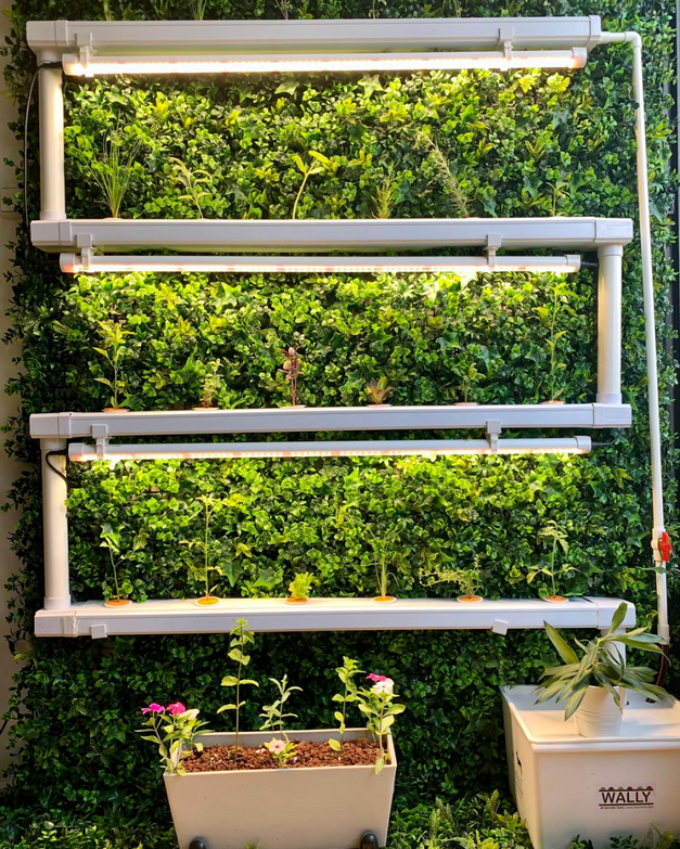 Wally 32 – Hydroponic Vertical System for Growing 32 Greens and Fruits