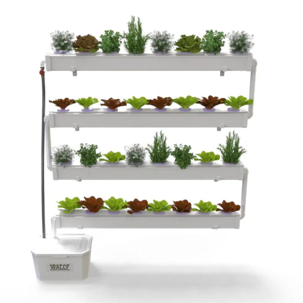 hydroponic wall planter Wally 32 – Fixed Wall Hydroponic Gardening System