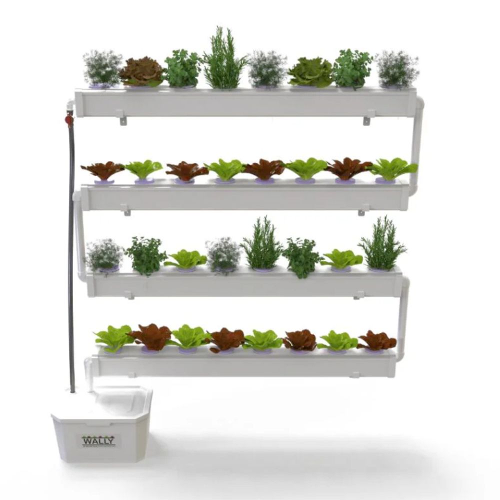 Wally 32 – Hydroponic Vertical System for Growing 32 Greens and Fruits