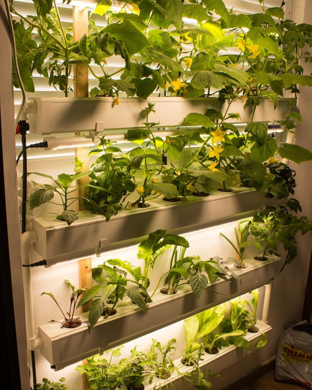 Wally 32 – Hydroponic Vertical System for Growing 32 Greens and Fruits