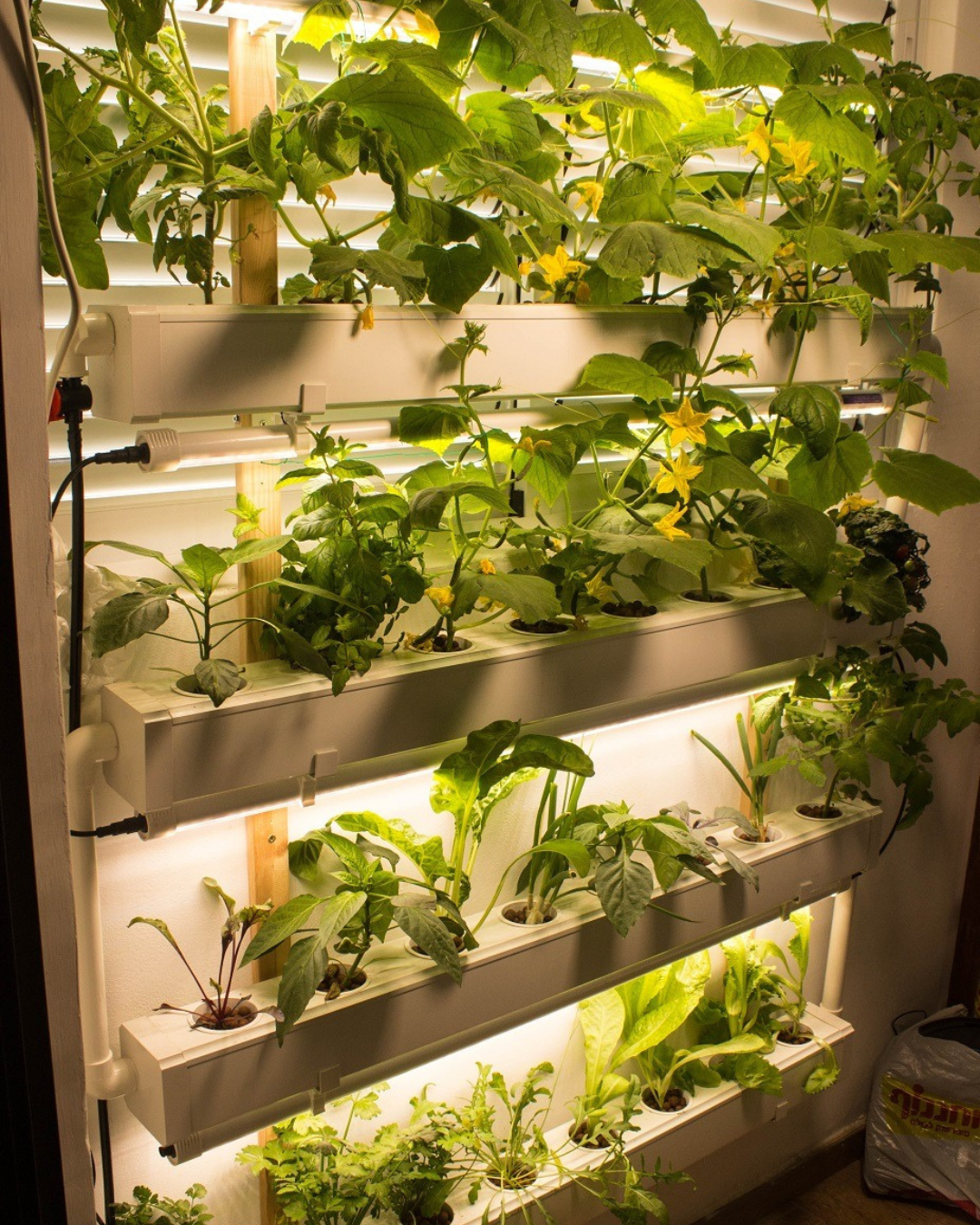 VEVOR Hydroponics Growing Syste, 36 Sites 4 Food-Grade PVC-U Pipes, 4 VEVOR Hydroponics Growing Syste, 36 Sites 4 Food-Grade PVC-U Pipes, 4